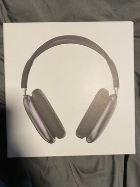 Apple Over-Ear Headphones in Gray and Black
